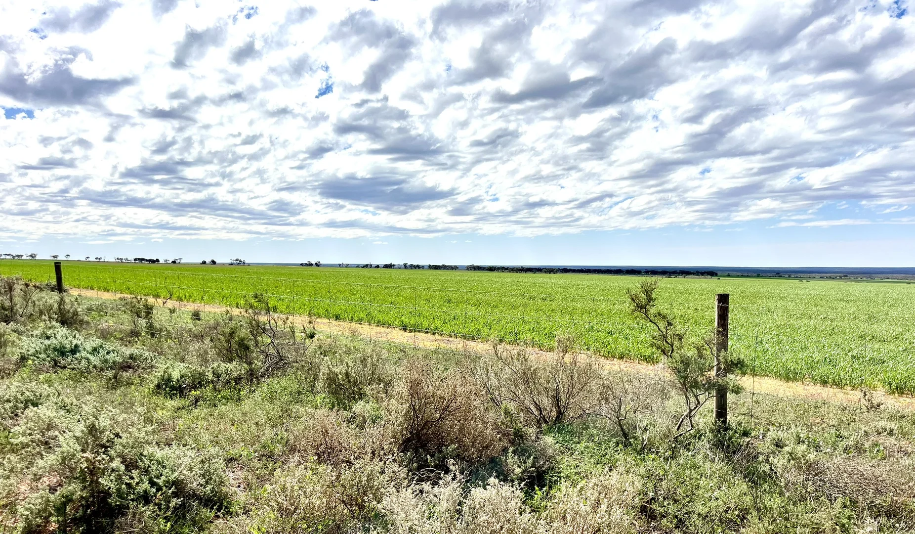 Additional image 38 of 2944 OTC Road, Wandana SA 5690