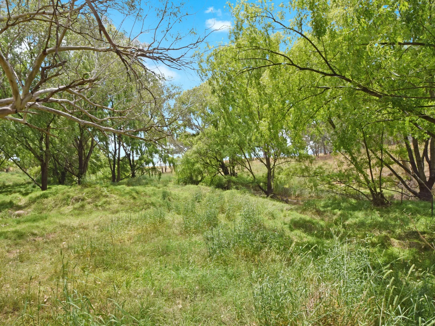 Additional image 48 of 20 Quamby SS Road, Young NSW 2594