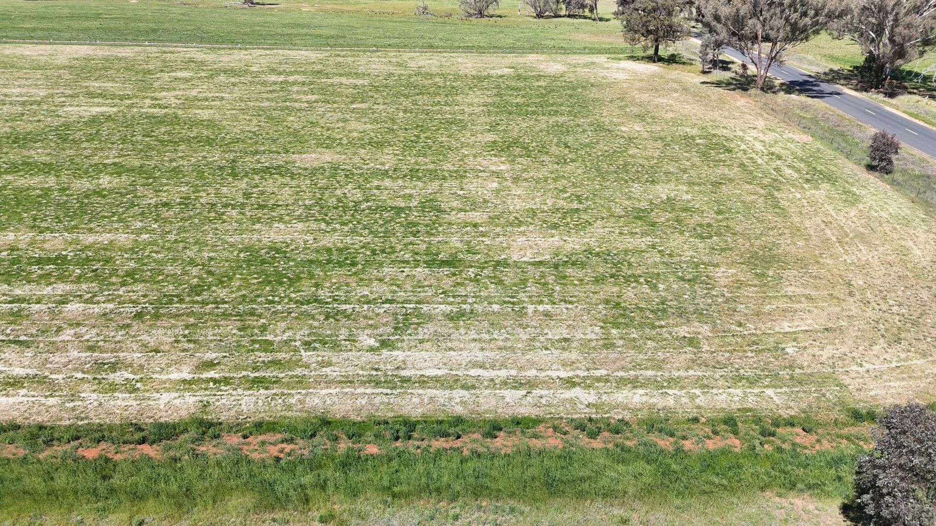 109, 110, 111, 112 Halls Lane, Grenfell NSW 2810