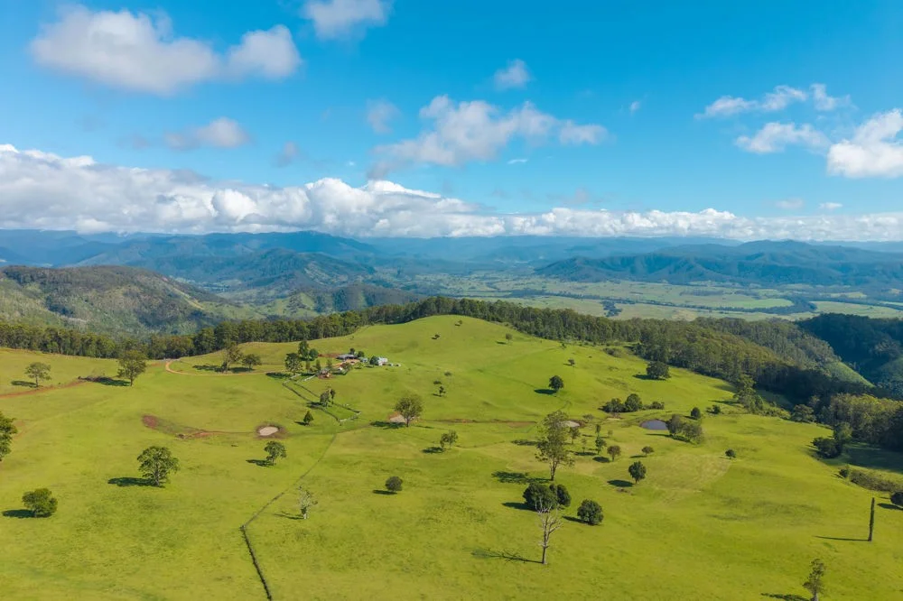 Additional image 20 of 669 Costigans Road, Yarras NSW 2446