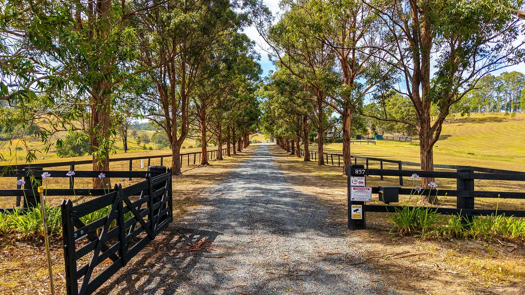 Additional image 50 of 857 Willina Road, Willina NSW 2423