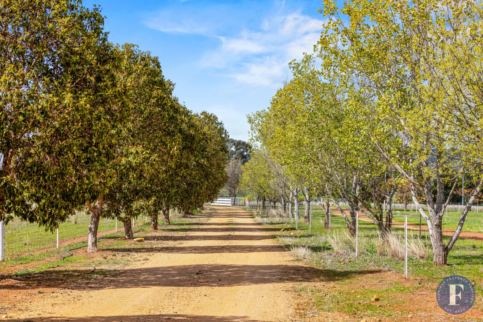 Additional image 7 of 893 Deaths Lane, Pullabooka NSW 2810