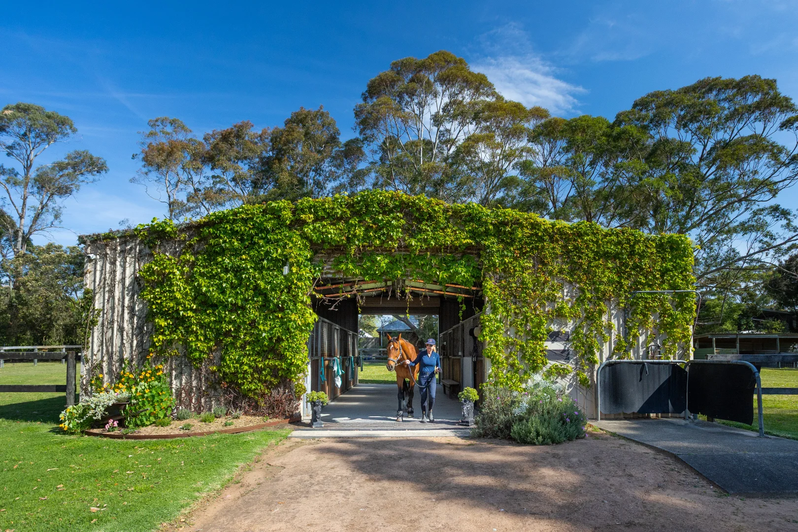 Additional image 3 of 9 Namba Road, Duffys Forest NSW 2084