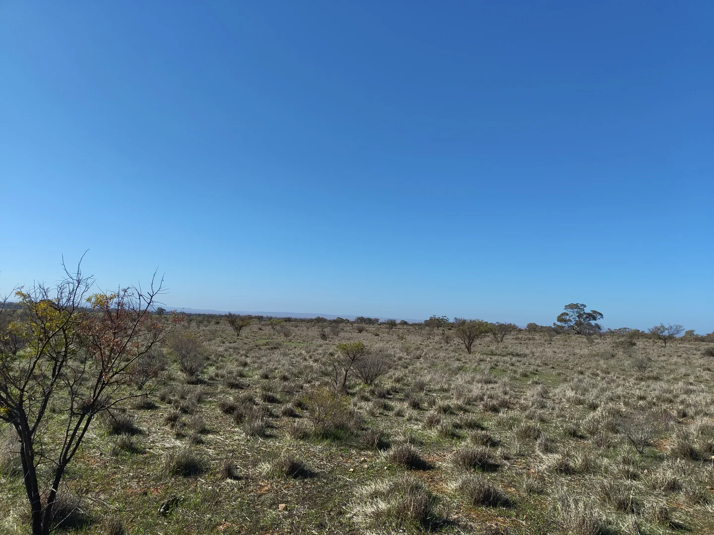 Additional image 3 of Lot 213 DUHRING ROAD, Wilmington SA 5485