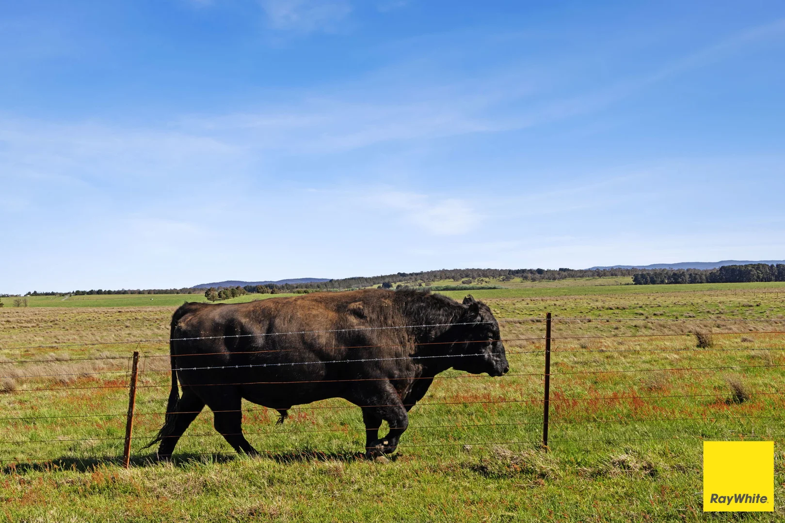Additional image 16 of 115 Goulburn Road, Mulloon NSW 2622