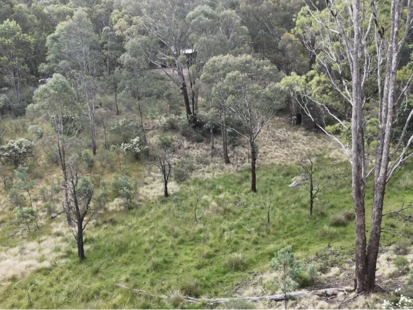 Additional image 19 of Lot 2 Kentucky Road, Neville NSW 2799