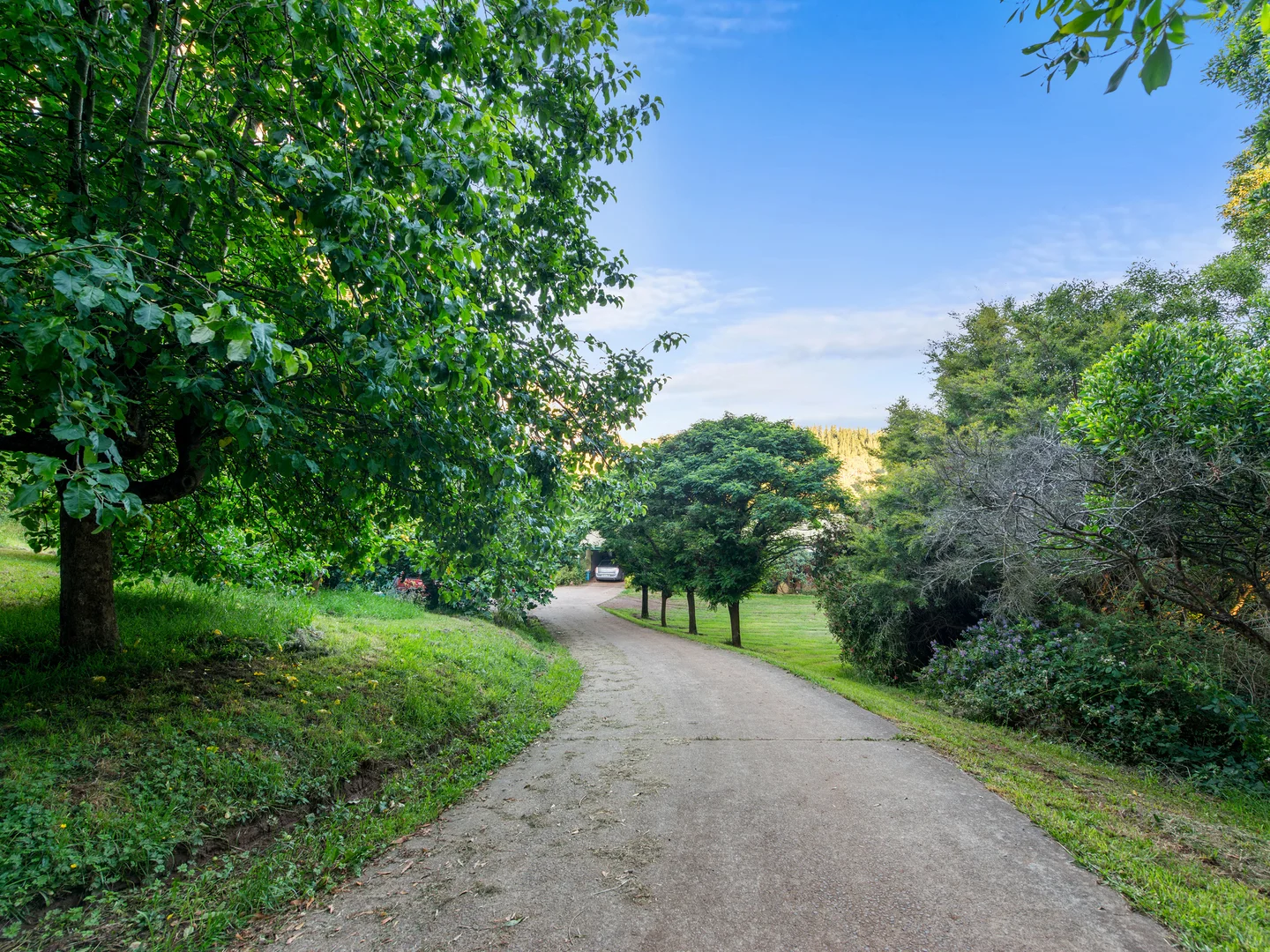 Additional image 3 of 43 Johnsons Lane, Willung South VIC 3847