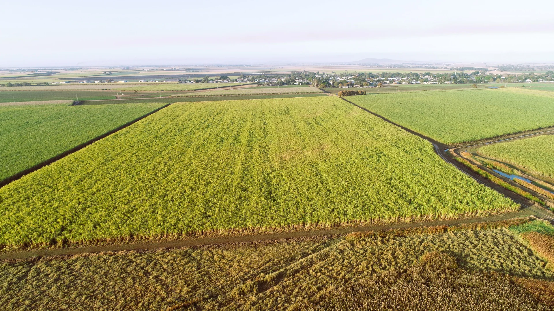 Additional image 8 of 20 Colevale Road, Brandon QLD 4808