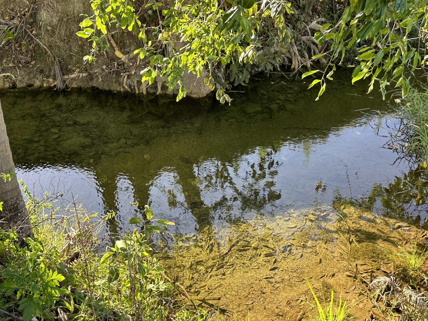 Additional image 8 of Lot 2 Broderick Road, Midgenoo QLD 4854