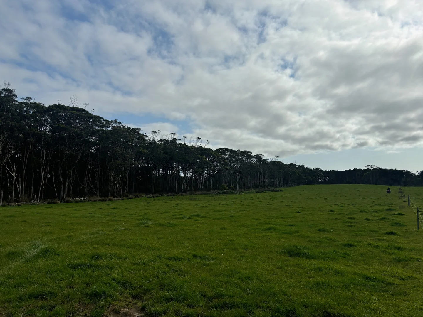 Additional image 7 of 678 Pegarah Road, Pegarah TAS 7256