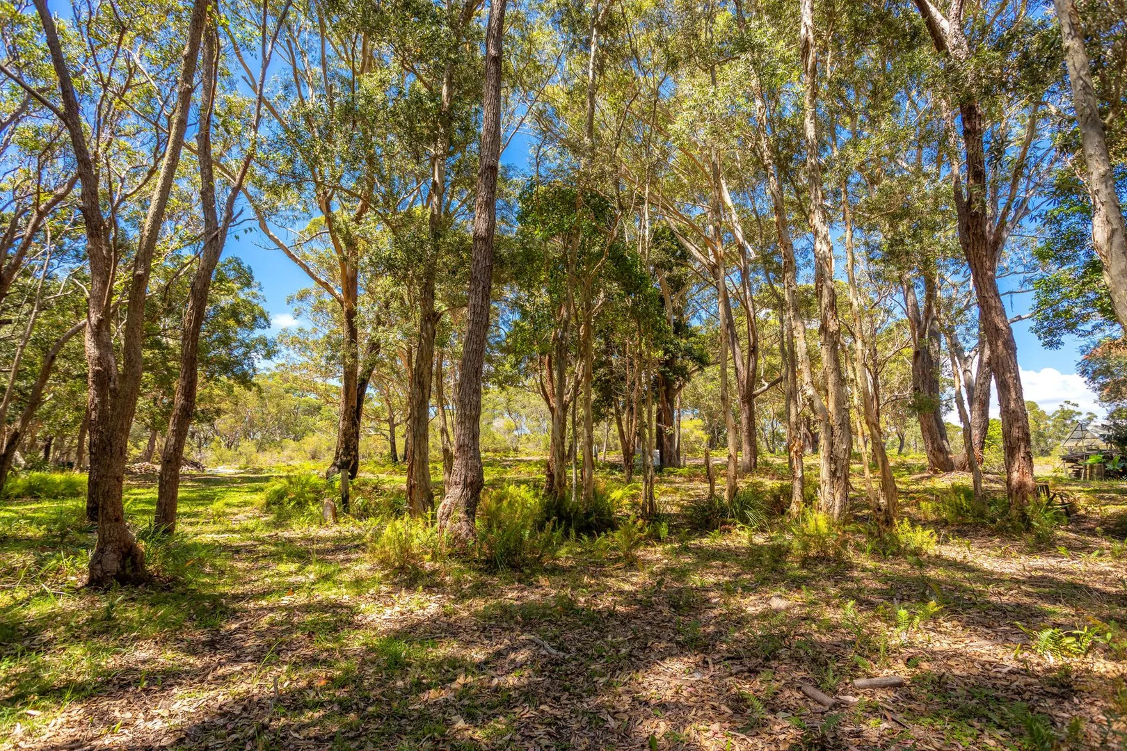 Additional image 11 of LOT 5 WALLIS ISLAND MAIN TRAIL, Forster NSW 2428