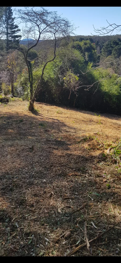 Additional image 4 of 15 Norwood Street, Leura NSW 2780