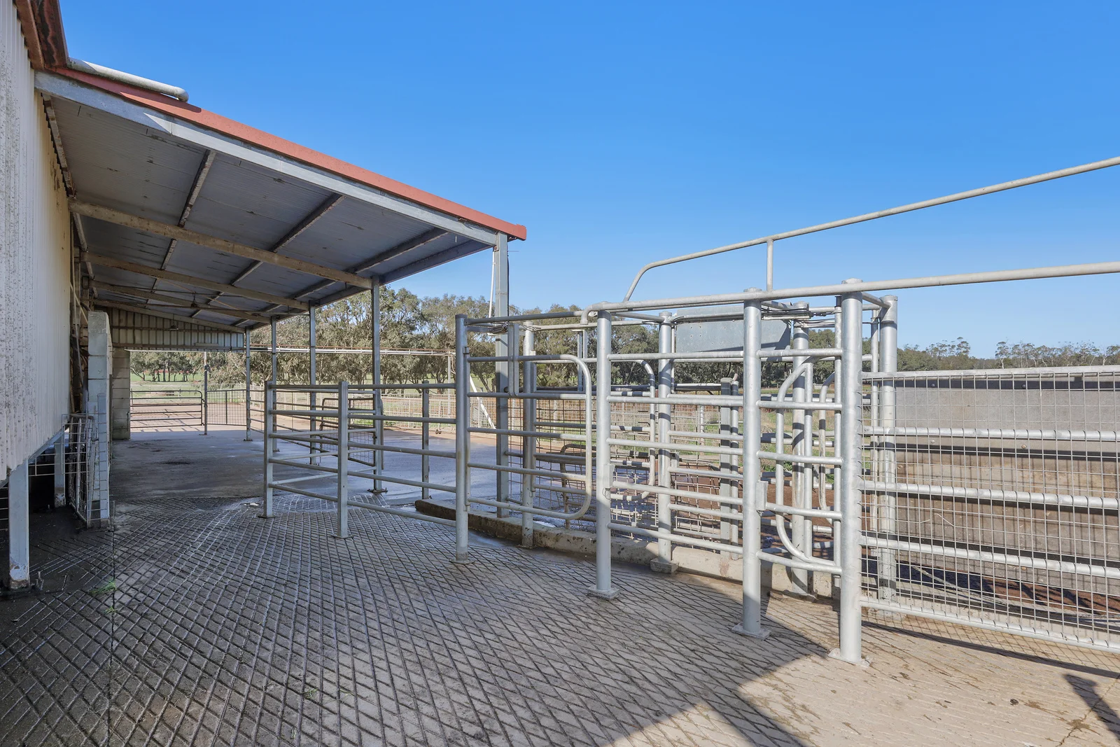 Additional image 29 of 140 Savins Road, Condah VIC 3303