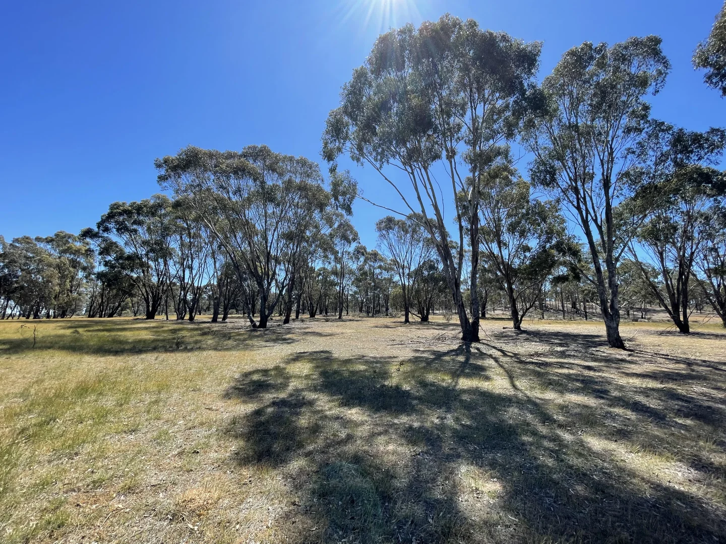 Additional image 18 of Allotment 7D Wedderburn Road, St Arnaud East VIC 3477