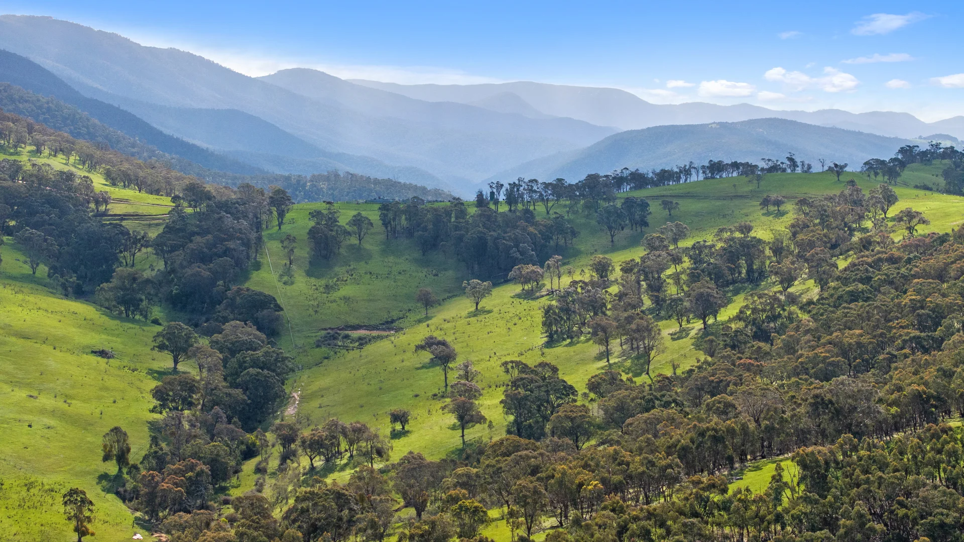 Additional image 11 of 914 Target Creek Road, Licola VIC 3858