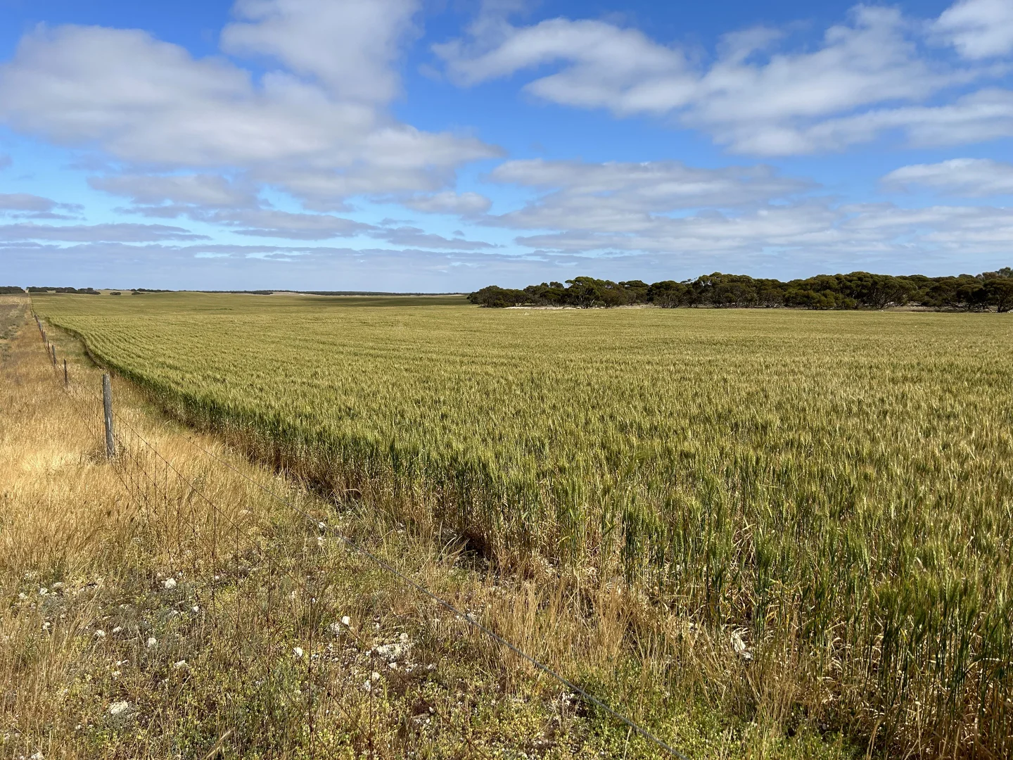 Additional image 10 of 163 McAskill Road, Karkoo SA 5632