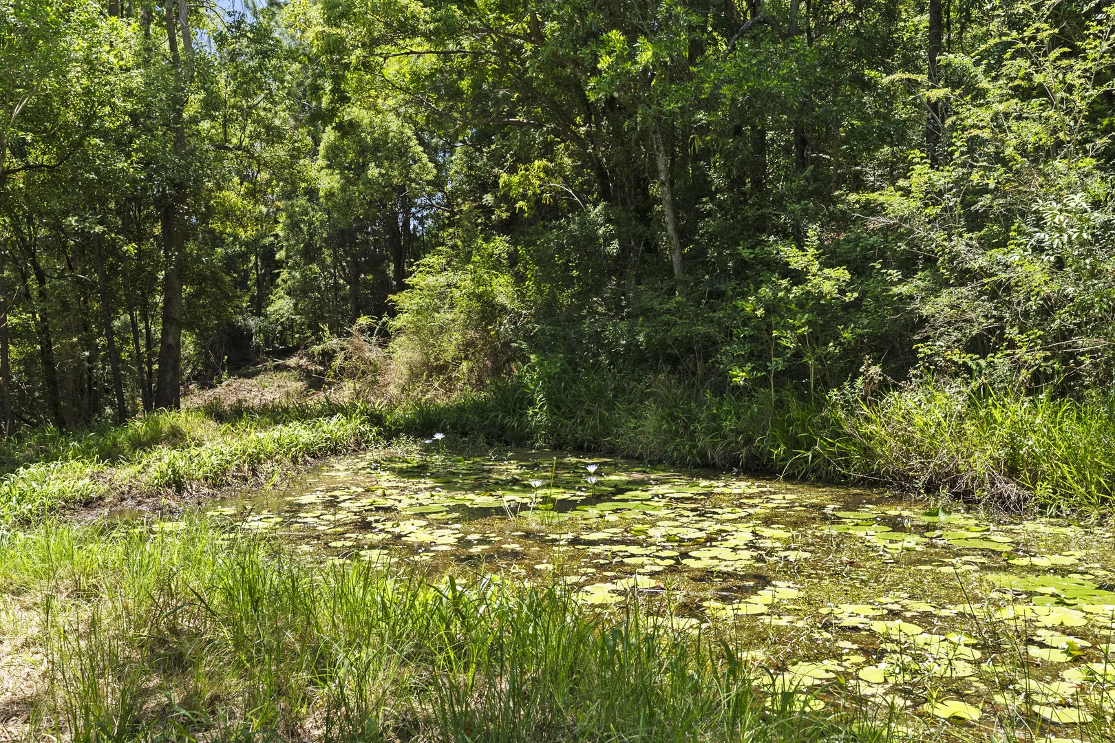 Additional image 7 of 487 Carool Road, Carool NSW 2486