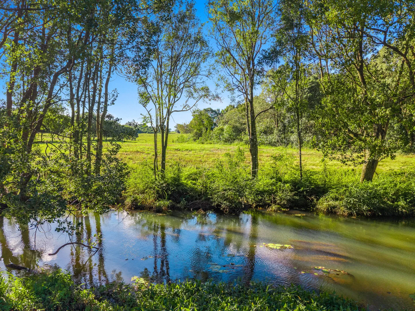 Additional image 6 of 36B Brooklet Road, Newrybar NSW 2479