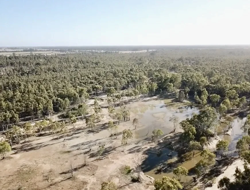 Additional image 3 of Lot 53 Old Deniliquin Road, Moama NSW 2731