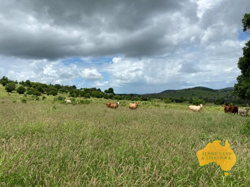 Additional image 12 of 474 Wigton Rd, Gayndah QLD 4625