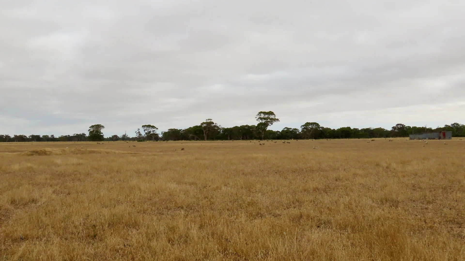 Additional image 8 of Lot 899 Mount McIntyre Road, Kalangadoo SA 5278