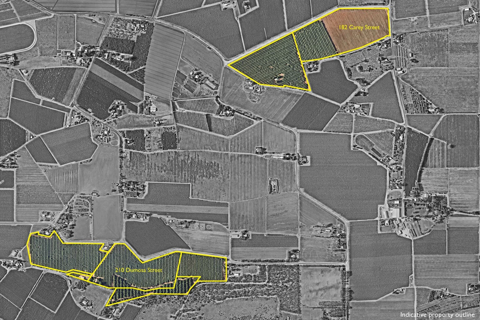 Additional image 23 of 182 Carey Street and 210 Dumosa Street, Red Cliffs VIC 3496