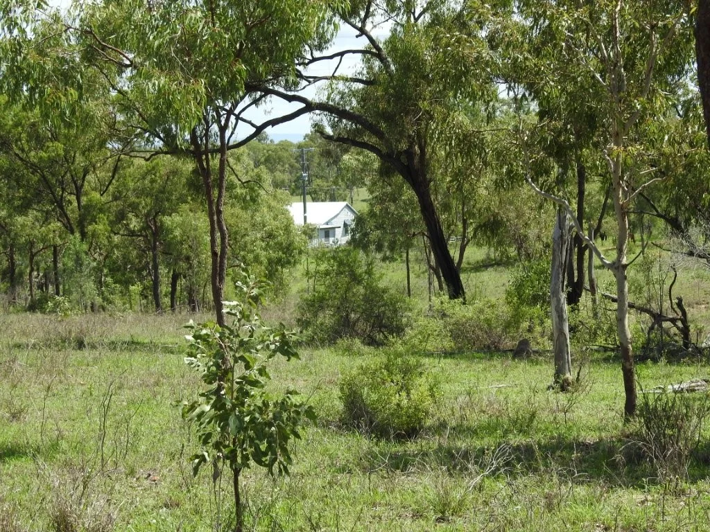 Additional image 21 of Flinders Highway, Breddan QLD 4820