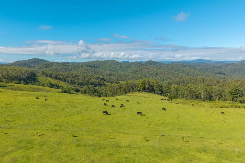 Additional image 21 of 669 Costigans Road, Yarras NSW 2446