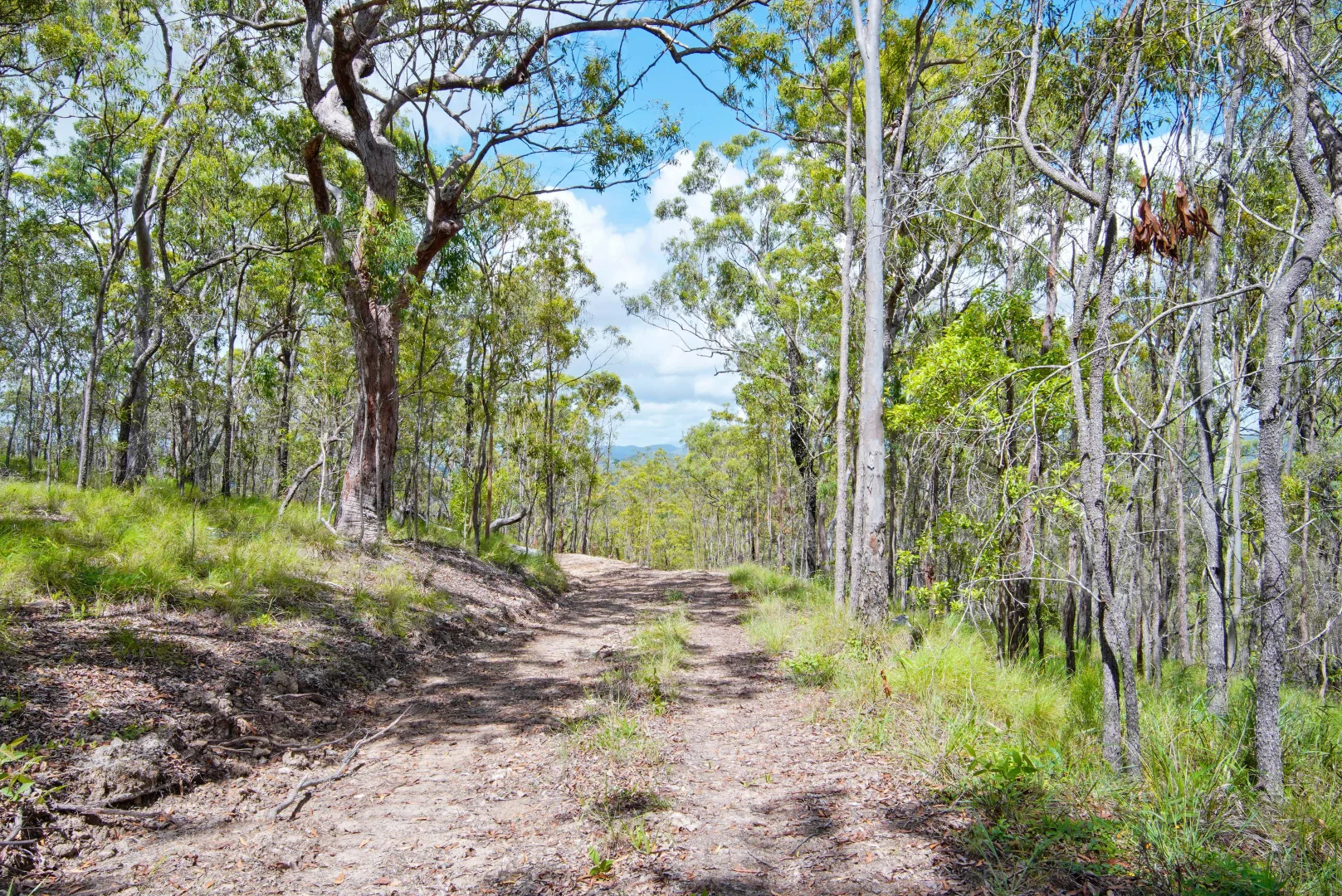 Additional image 9 of Agnes Water QLD 4677