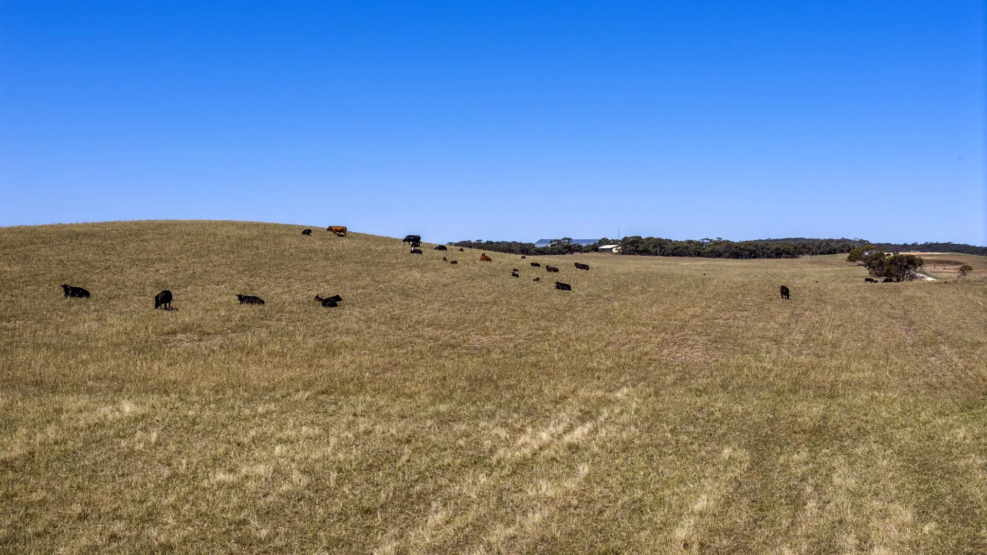 Additional image 32 of 1156 Parrakie North Road, Lameroo SA 5302