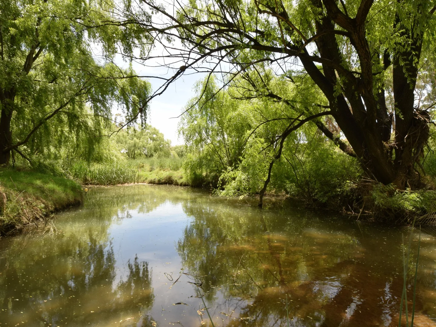 Additional image 37 of 20 Quamby SS Road, Young NSW 2594