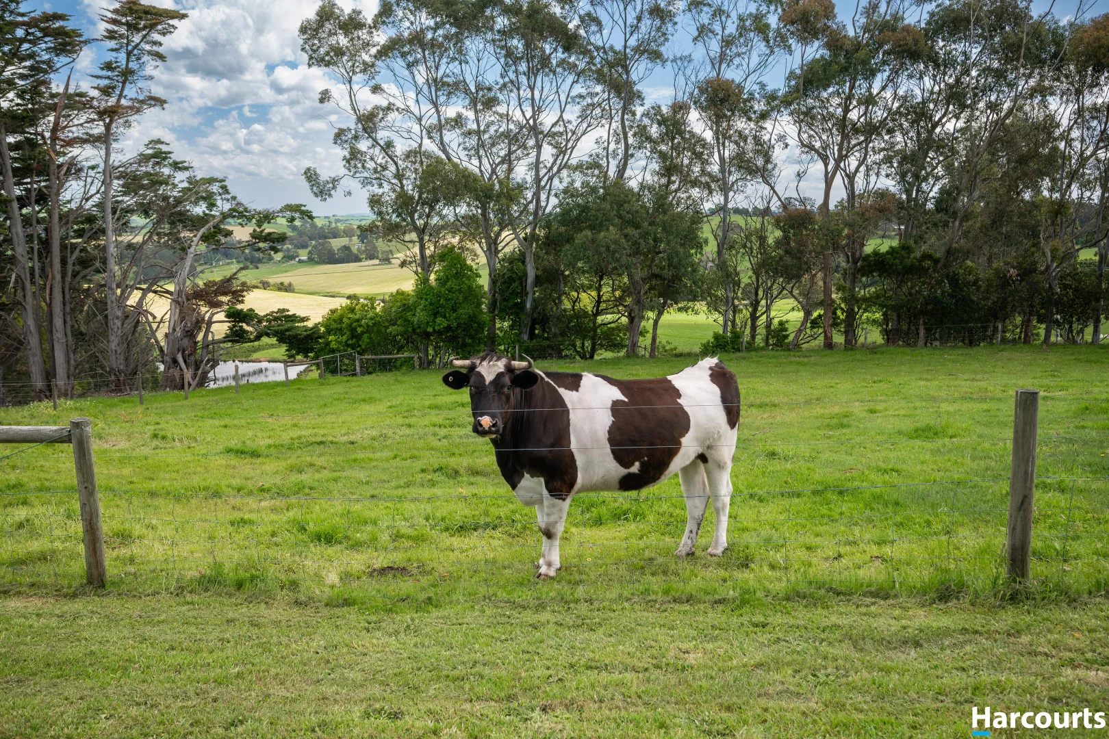 Additional image 27 of 228 Fullertons Road, Mirboo North VIC 3871