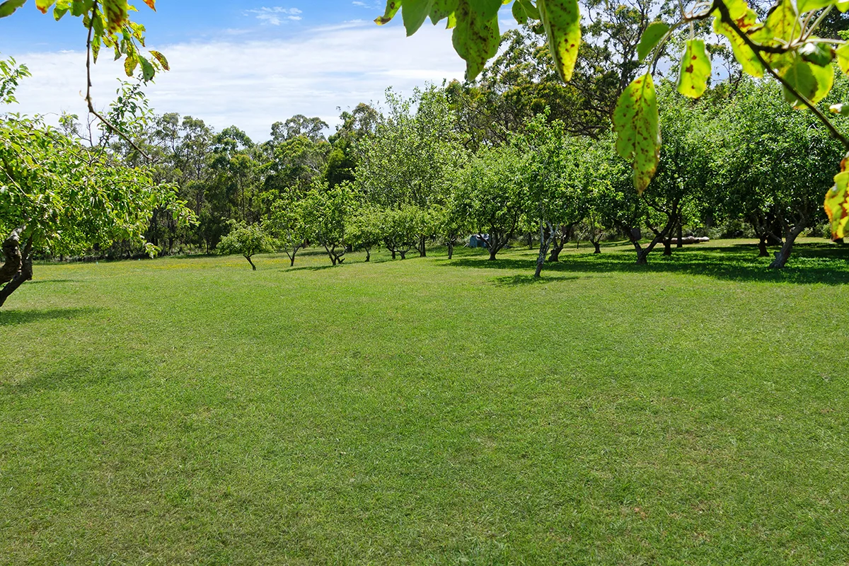 Additional image 14 of 1024 Gorae Road, Gorae VIC 3305