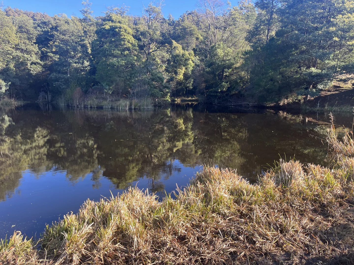 Additional image 4 of . Powers Road, Pyengana TAS 7216