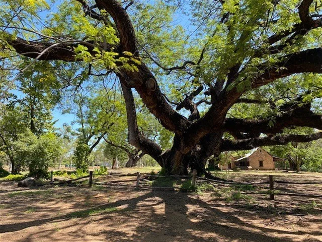 Additional image 5 of 281 Shadforth Road, Cossack, Katherine NT 0850