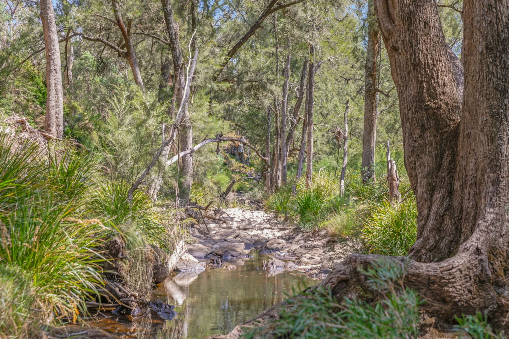 Additional image 15 of 1884 Lower Lewis Ponds Road, Ophir NSW 2800