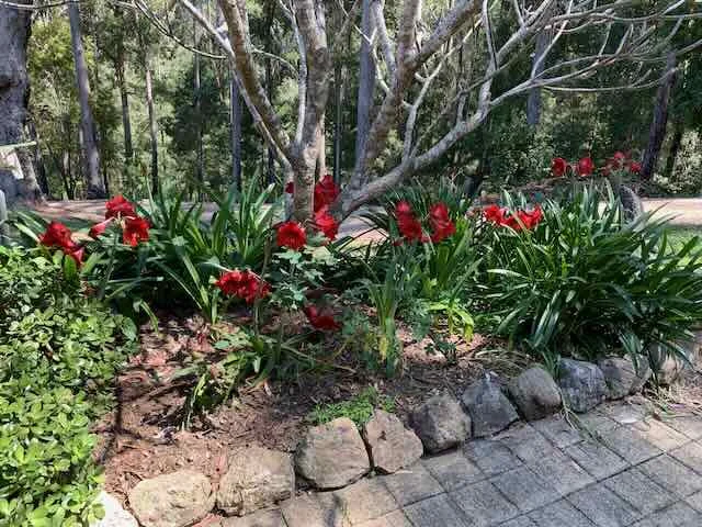 Additional image 32 of 150 Koonyum Range Road, Wilsons Creek NSW 2482