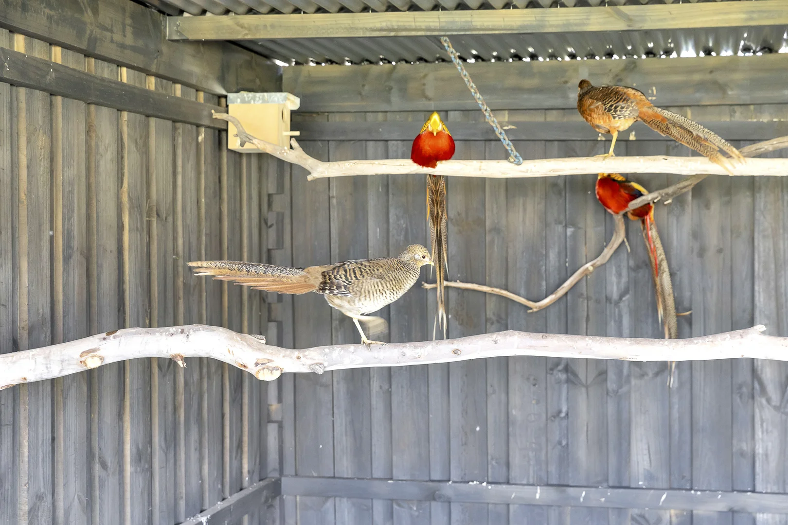 Additional image 16 of 120 Narraburra Road, Little River VIC 3211