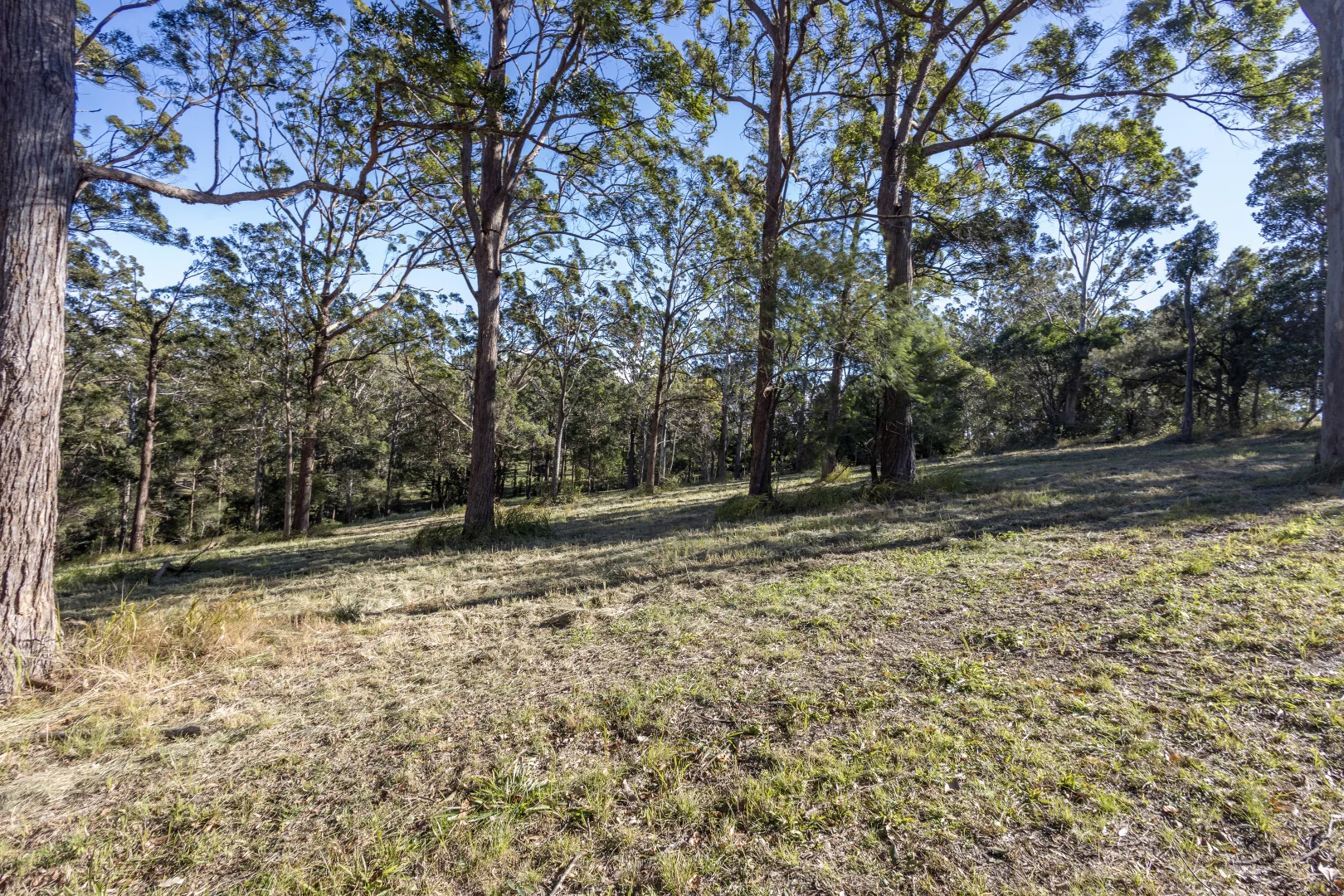 Additional image 8 of Ocean View QLD 4521
