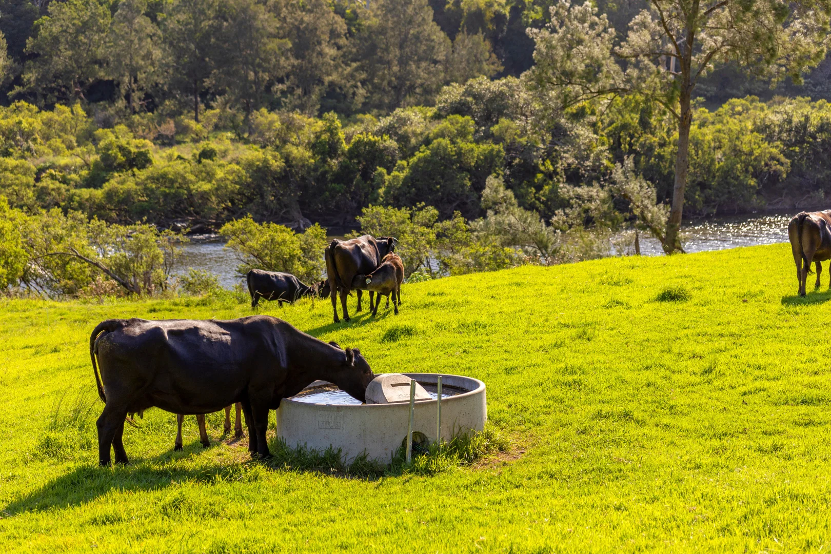 Additional image 20 of 424 Norwood Lane, Mount George NSW 2424