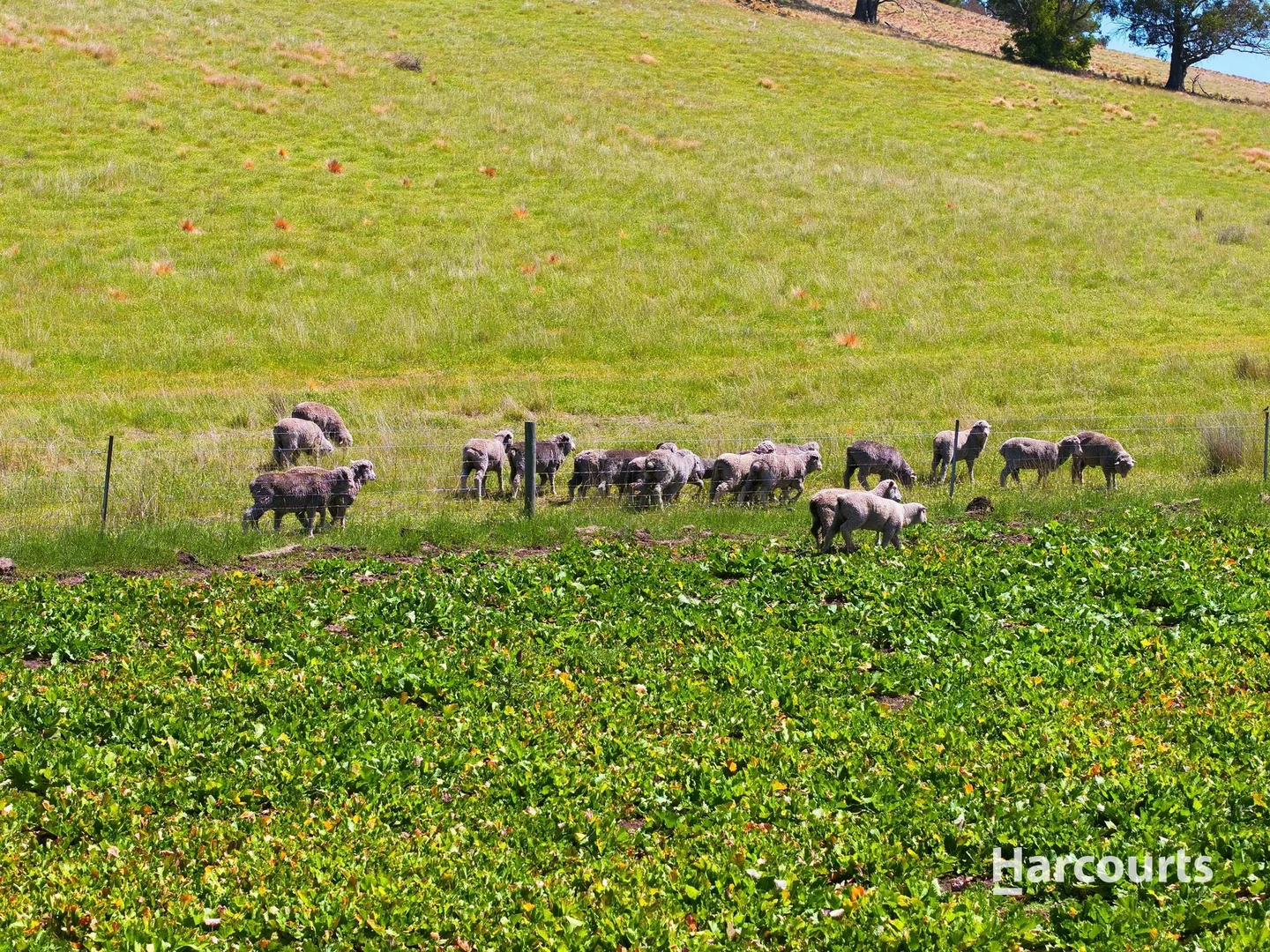 Additional image 13 of Lots 3 & 4 Dorans Road, Sandford TAS 7020