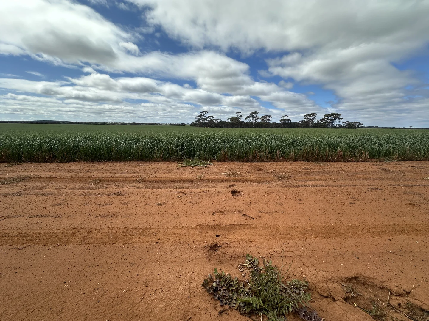 Additional image 25 of 3279 Calzoni Road, Hyden WA 6359