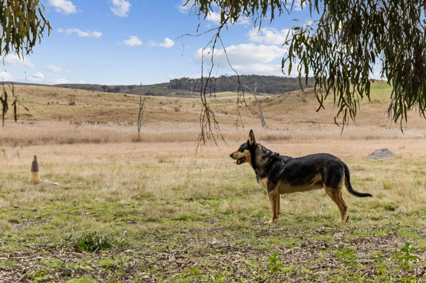 Additional image 6 of 2102 Kiowarrah Road, Bevendale NSW 2581