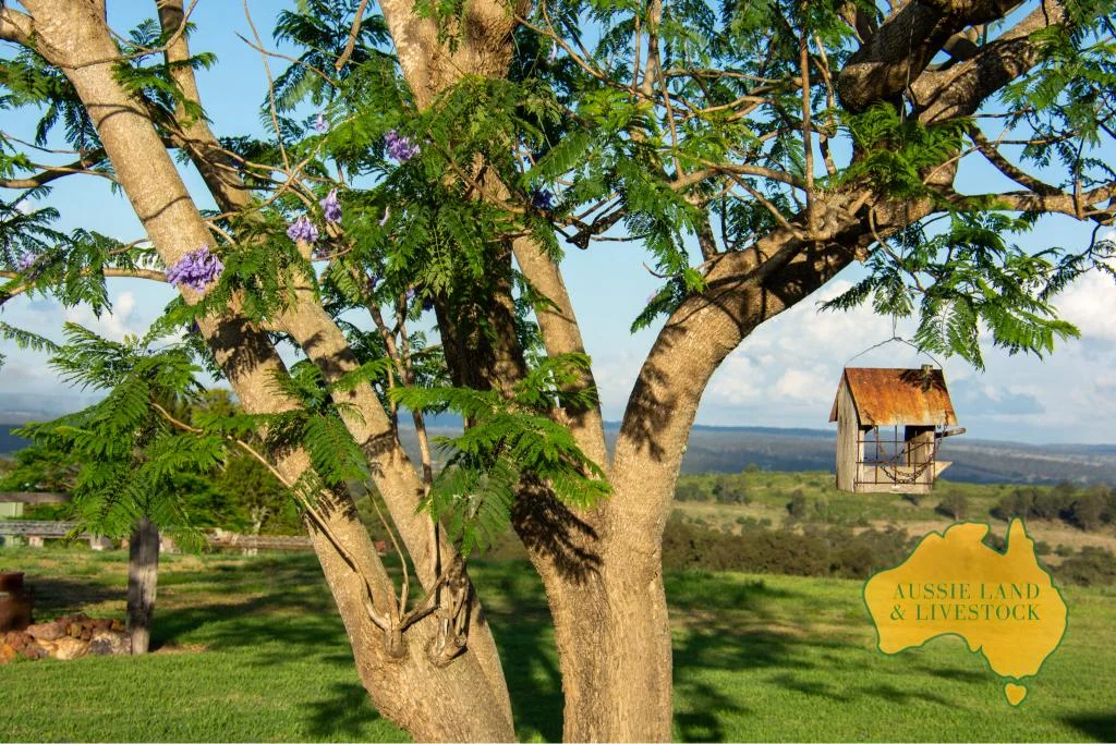 Additional image 19 of 420 HODGLEIGH NORTH ROAD, Hodgleigh QLD 4610