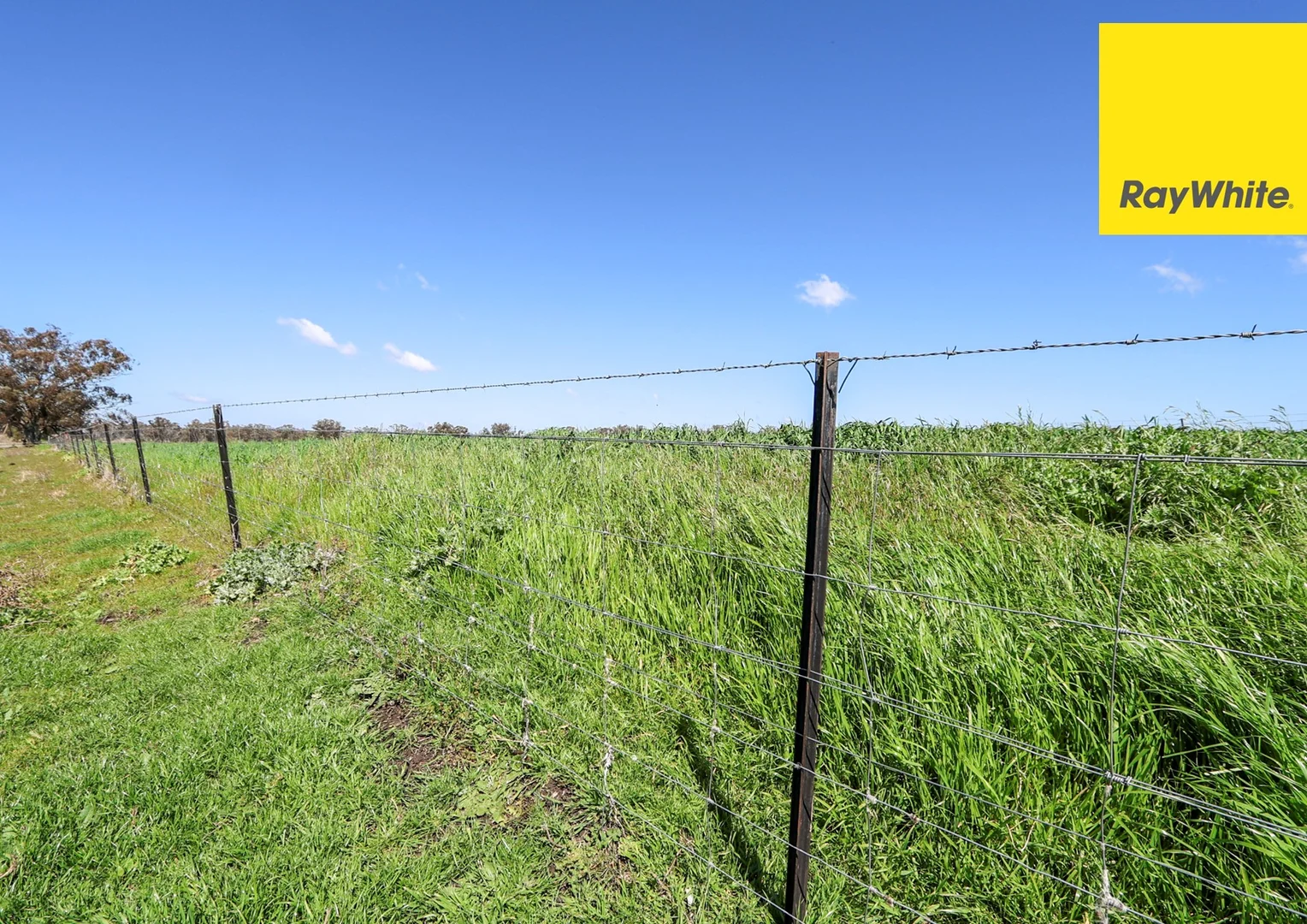 Additional image 9 of 154 Delungra Bypass Road, Inverell NSW 2360