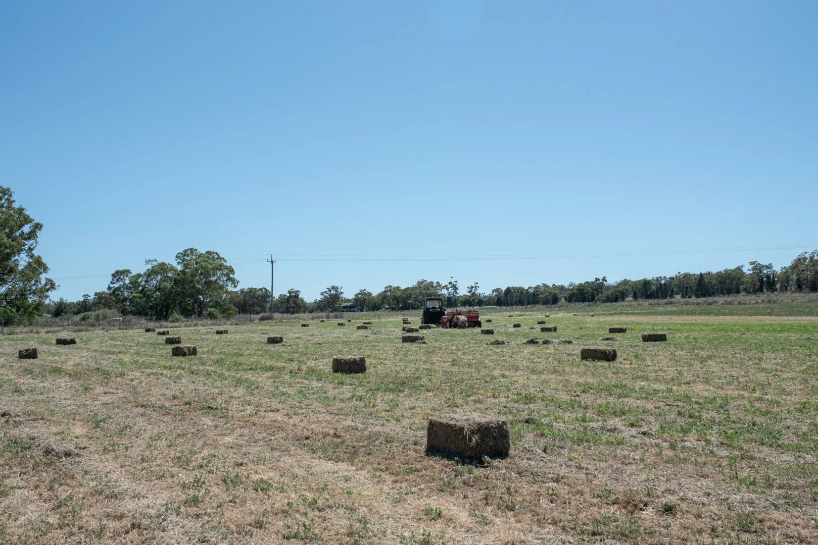 Additional image 5 of Geurie NSW 2818
