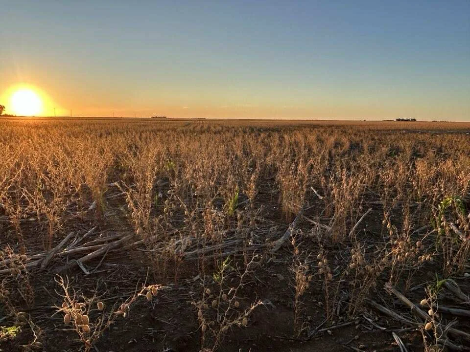 Additional image 13 of 2094 West Prairie Road, West Prairie QLD 4403