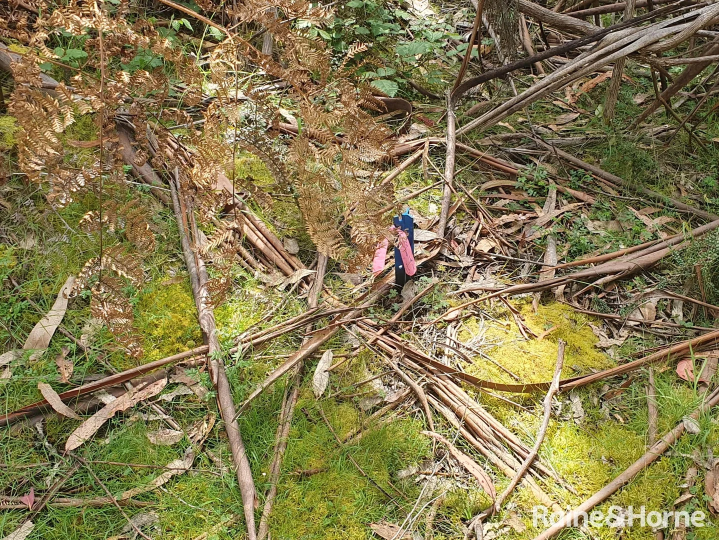 Additional image 5 of 16 & 20 Russell Street, Gordon TAS 7150