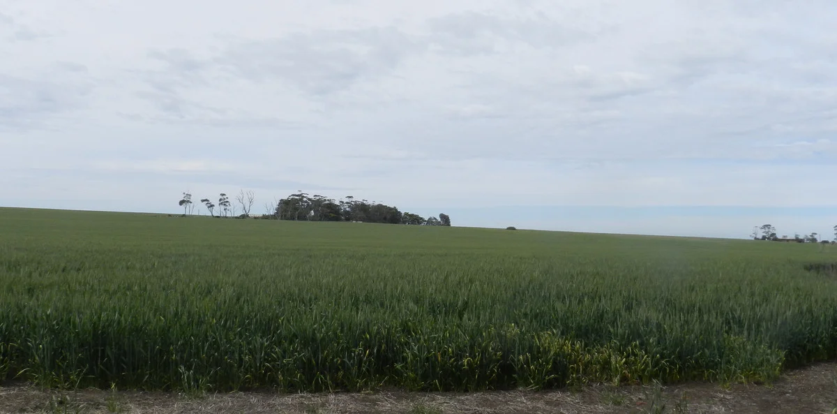 Additional image 4 of 2310 Colac-Ballarat Road, Weering VIC 3251