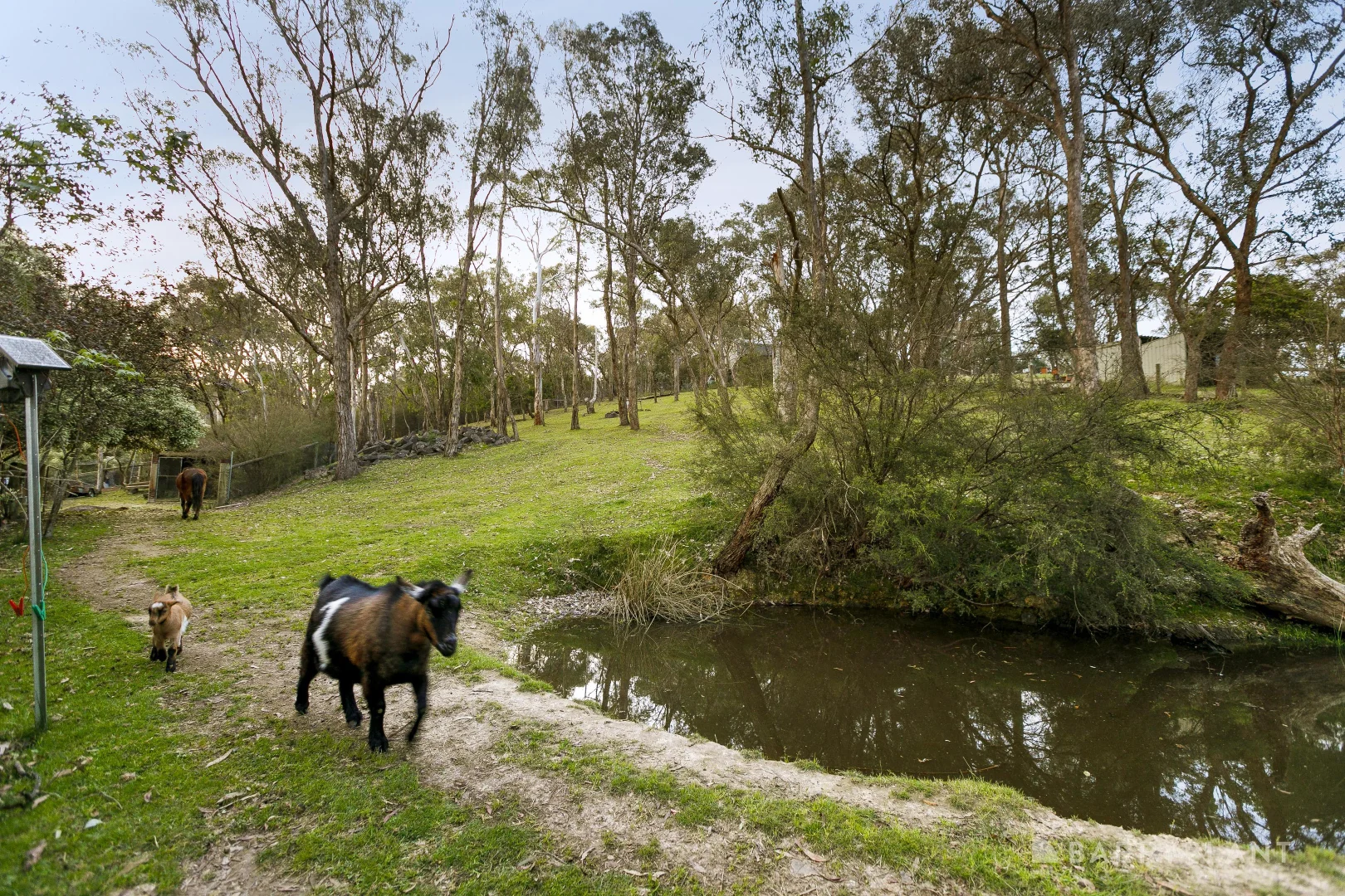 Additional image 17 of 400 Ringwood-Warrandyte Road, Warrandyte VIC 3113